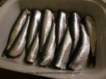 sardinas limpias 